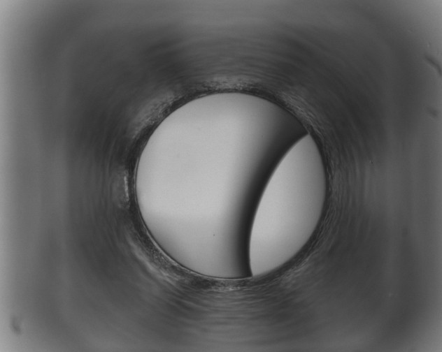 X0000100370254200806060809