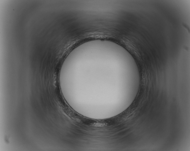 X0000100370255200806060809