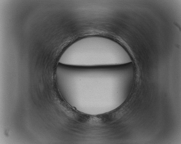 X0000100370257200806060809