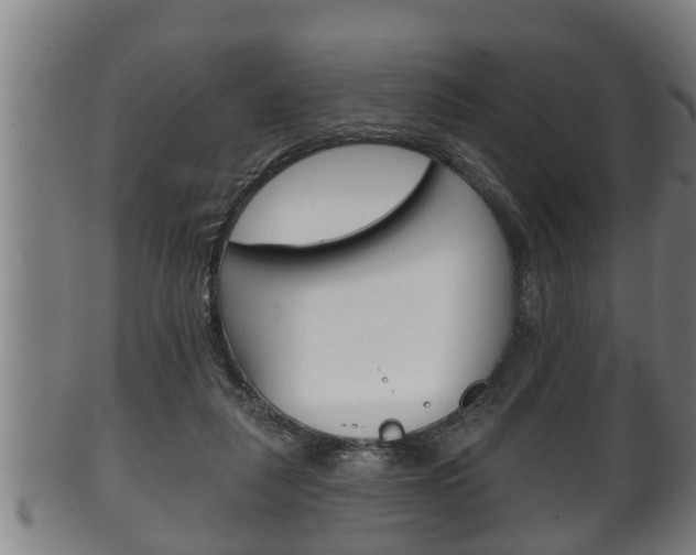 X0000100370259200806060809