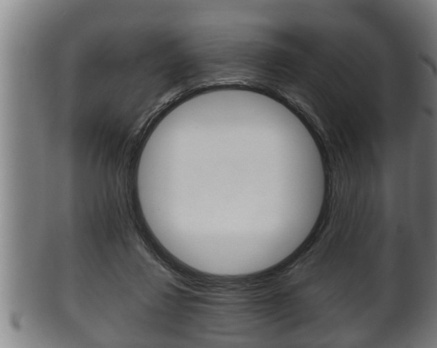 X0000100370260200806060809