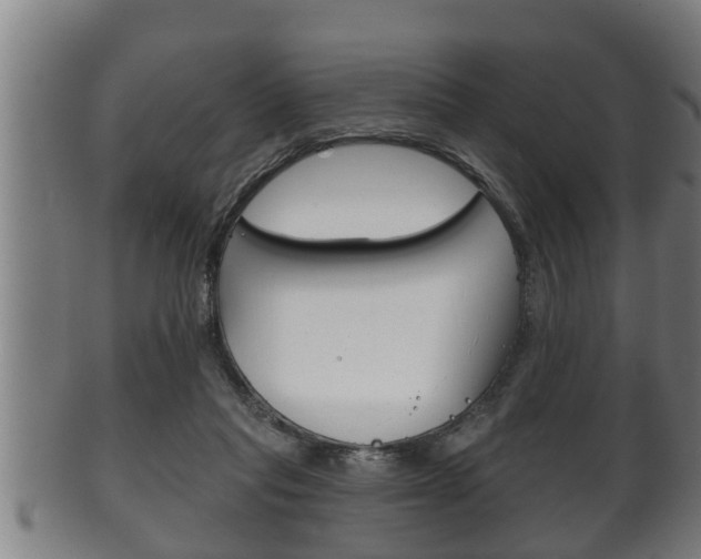 X0000100370261200806060809