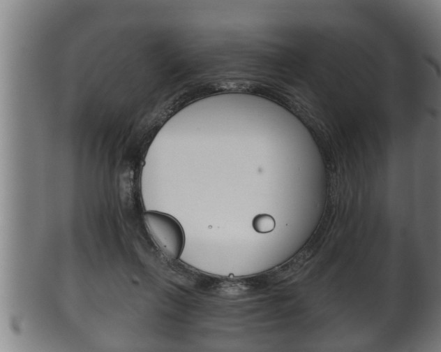 X0000100370263200806060809