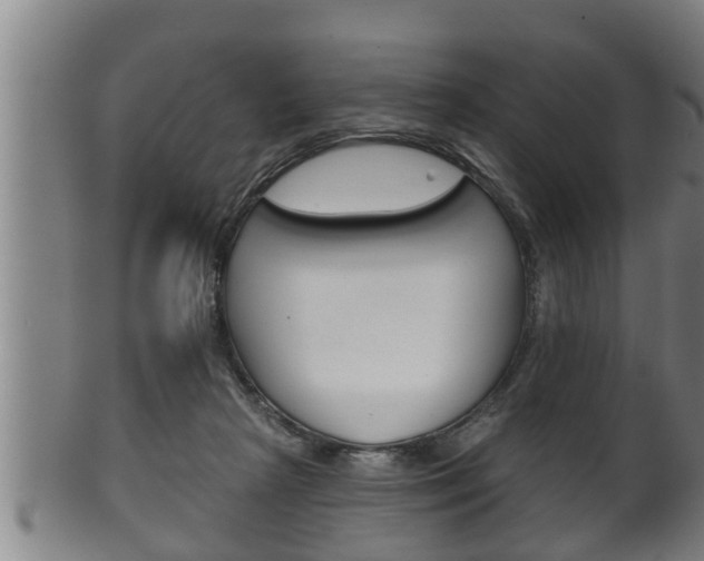 X0000100370265200806060809