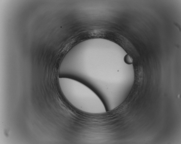X0000100370266200806060809
