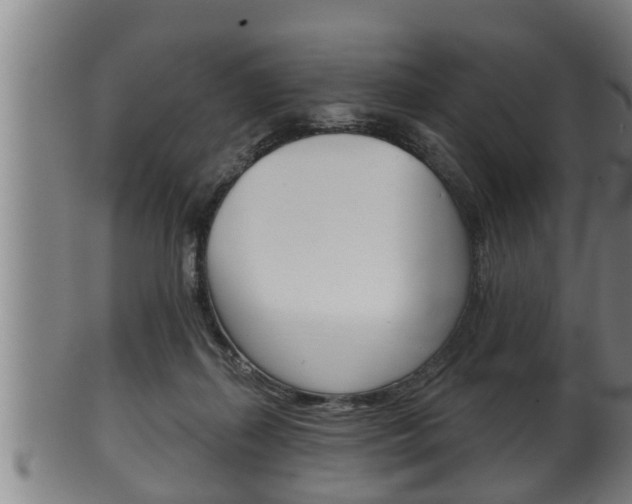 X0000100370267200806060809