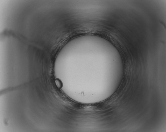 X0000100370268200806060809