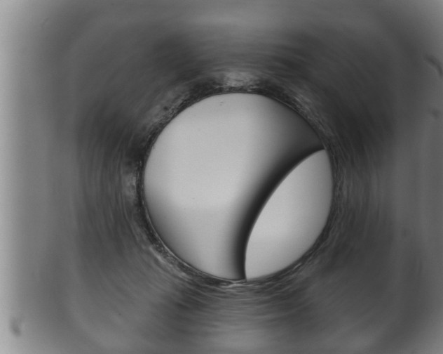 X0000100370269200806060809