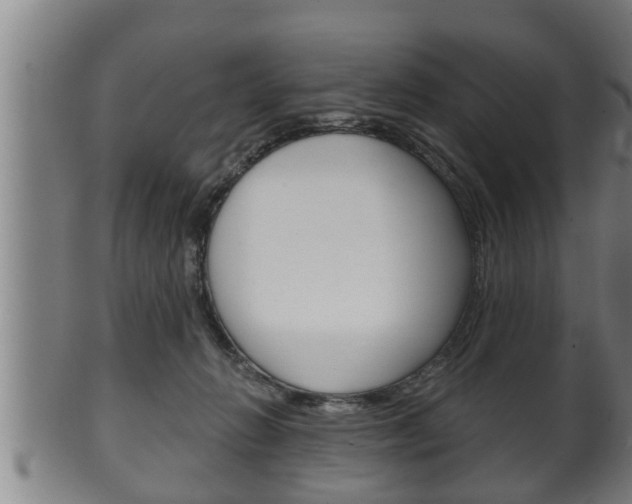 X0000100370270200806060809