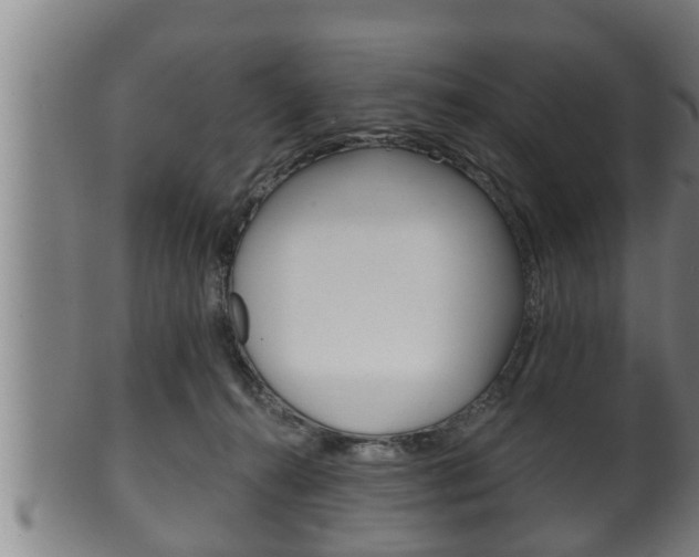 X0000100370272200806060809
