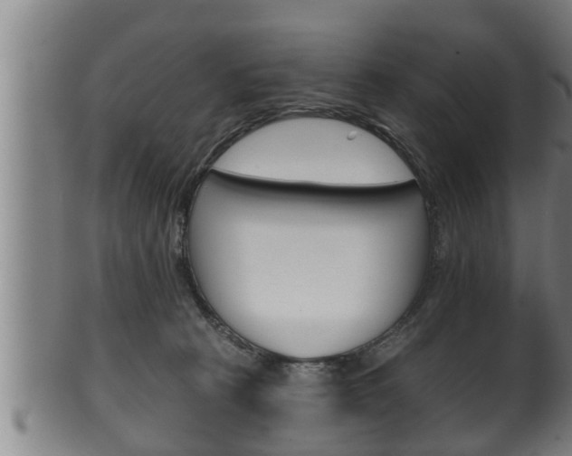 X0000100370273200806060809