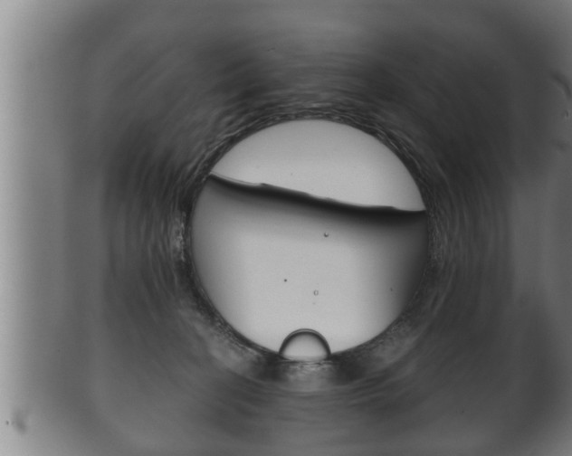 X0000100370274200806060809