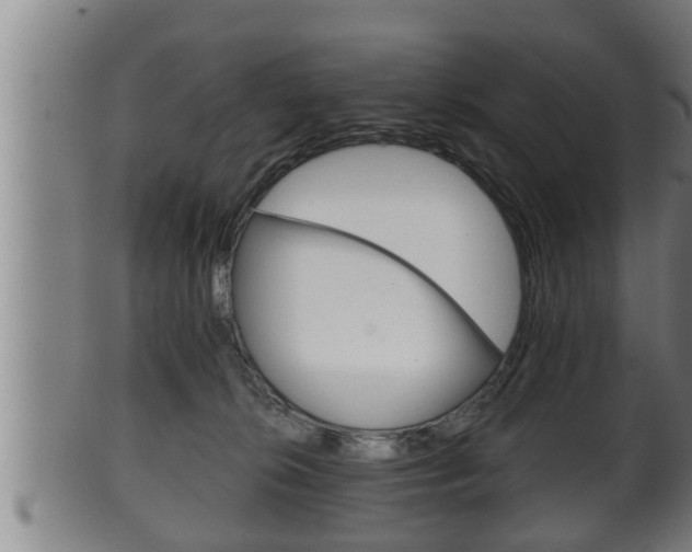 X0000100370276200806060809