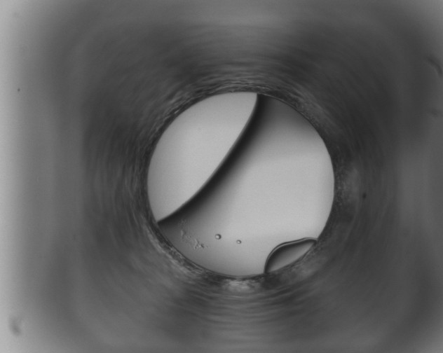 X0000100370277200806060809