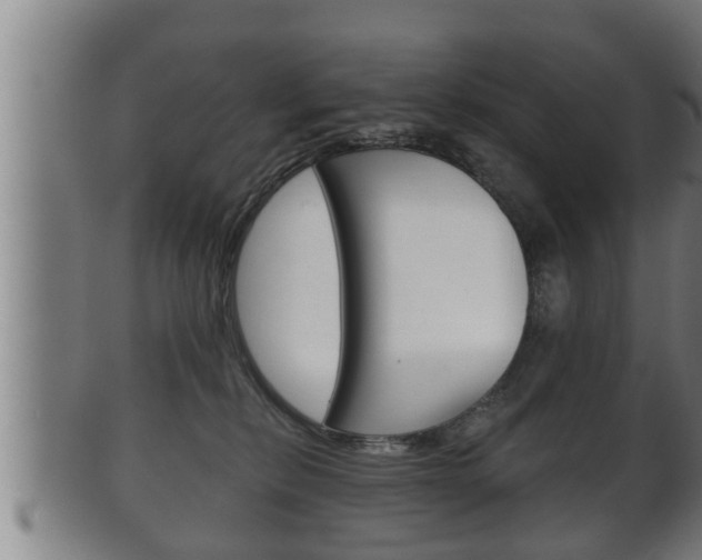 X0000100370278200806060809