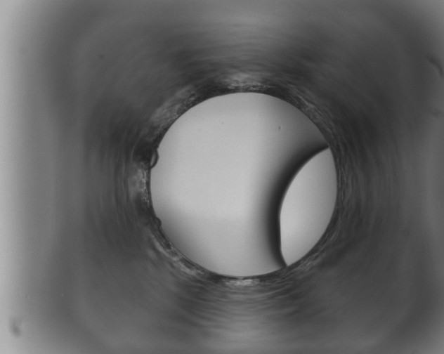 X0000100370281200806060809