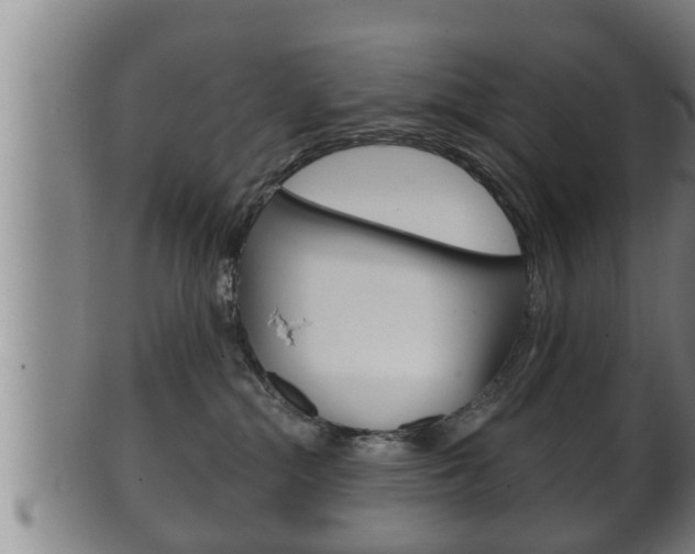 X0000100370284200806060809