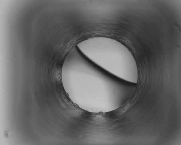 X0000100370285200806060809