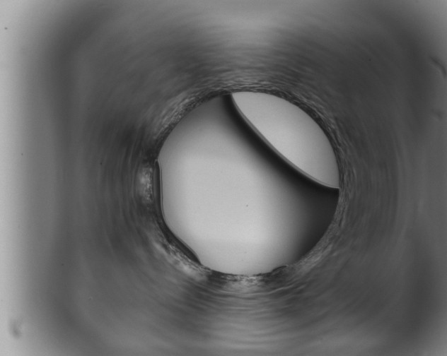 X0000100370288200806060809