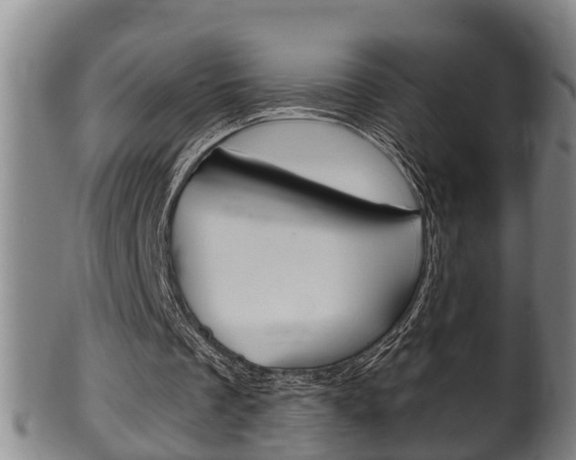 X0000100370289200806060809