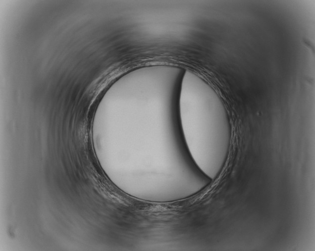 X0000100370290200806060809
