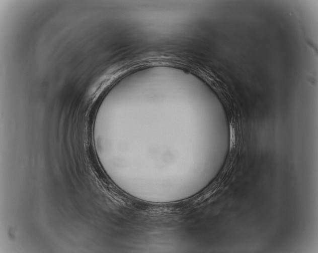 X0000100370291200806060808
