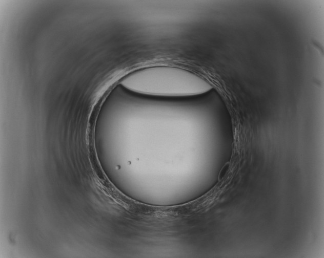 X0000100370292200806060808