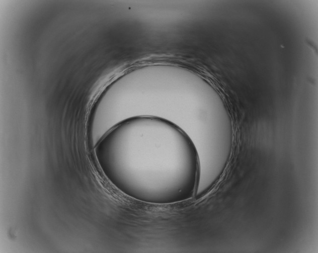 X0000100370293200806060808