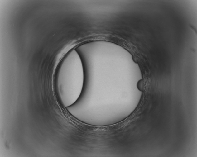 X0000100370294200806060808