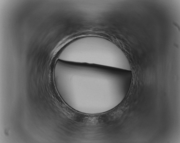 X0000100370295200806060808