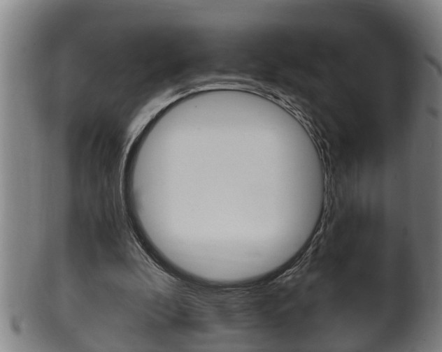 X0000100370296200806060808