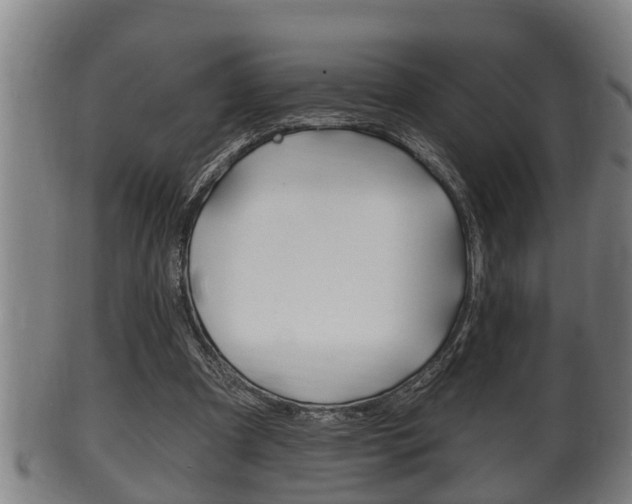 X0000100370297200806060808