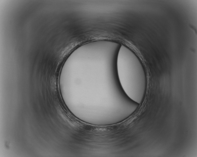 X0000100370298200806060808