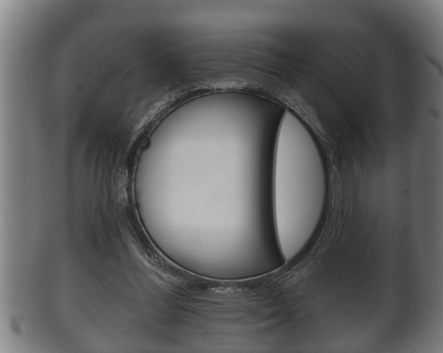 X0000100370300200806060808