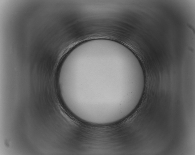 X0000100370302200806060808