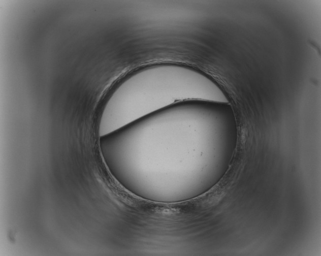 X0000100370304200806060808