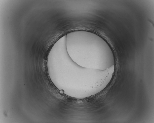 X0000100370305200806060808