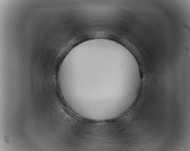 X0000100370306200806060808