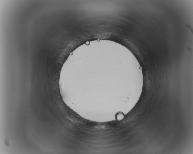 X0000100370307200806060808