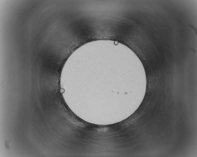 X0000100370309200806060808