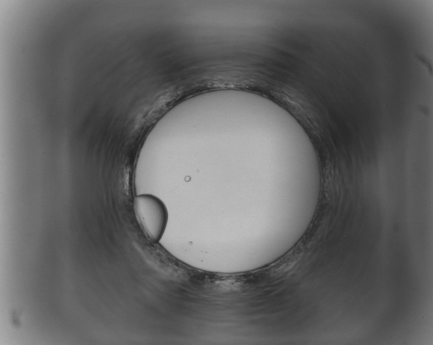 X0000100370310200806060808