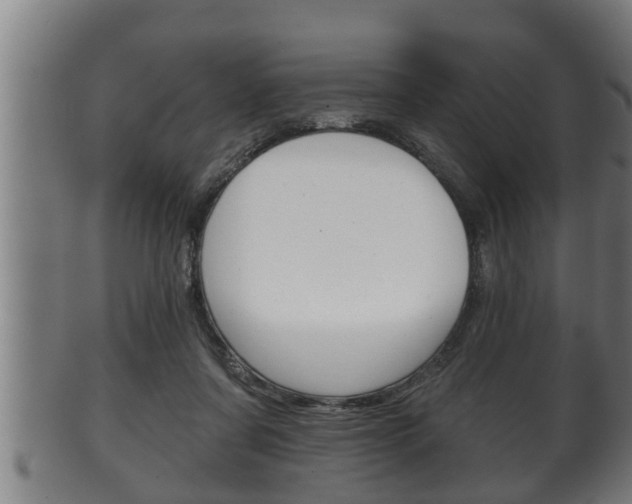 X0000100370311200806060808