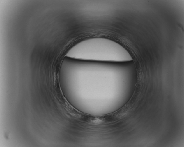 X0000100370312200806060808