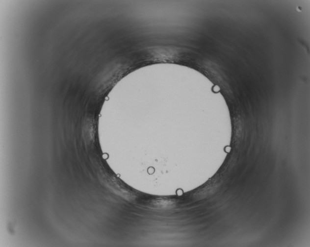 X0000100370313200806060808