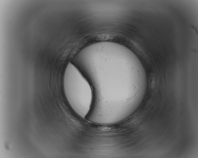 X0000100370315200806060808