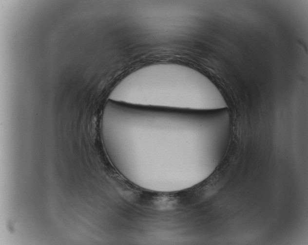 X0000100370319200806060808