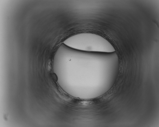 X0000100370323200806060808