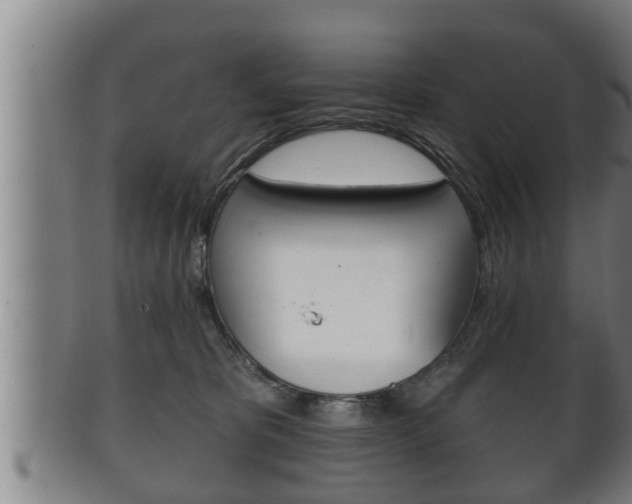 X0000100370325200806060808