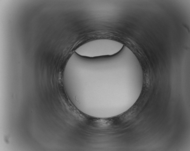 X0000100370326200806060808