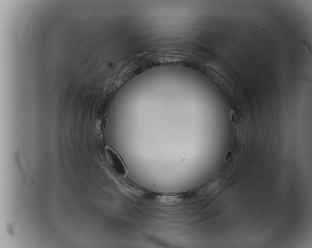 X0000100370327200806060808